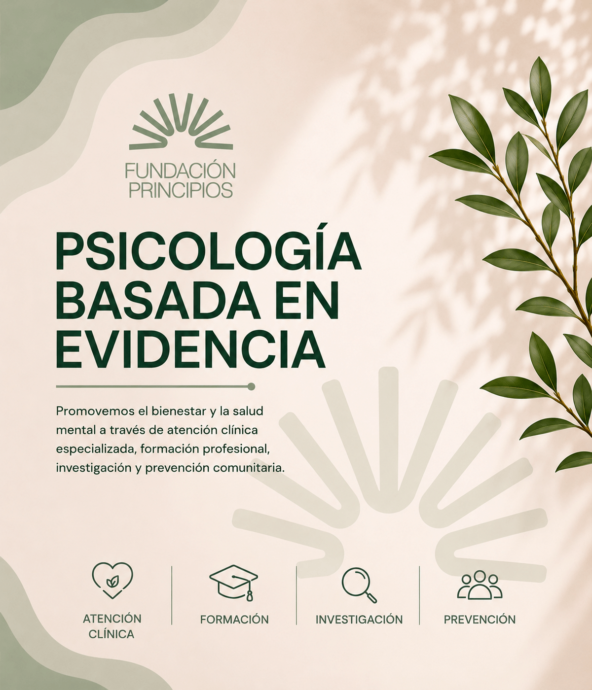 Fundación Principios. Bienvenido